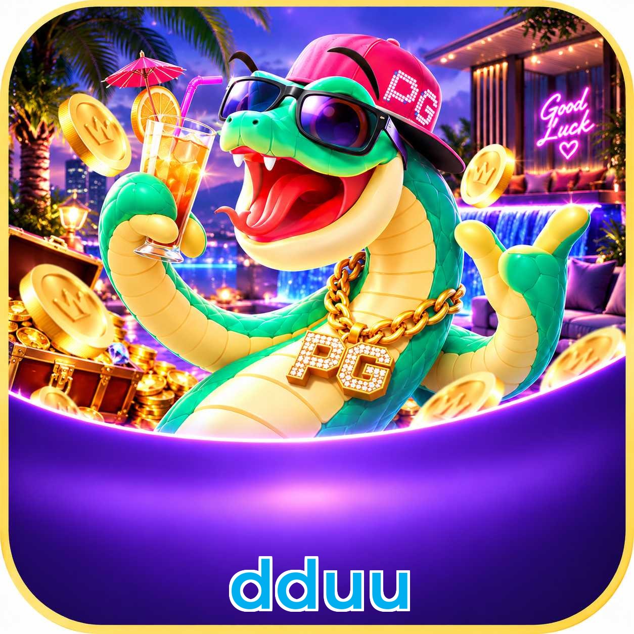 dduu Interface