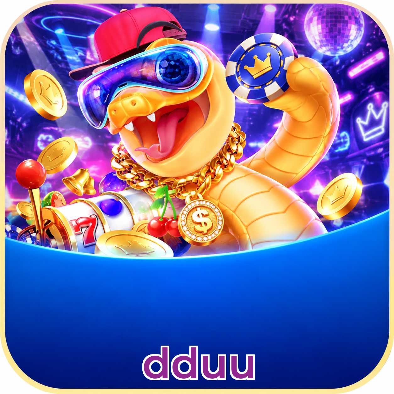 dduu App vs Web